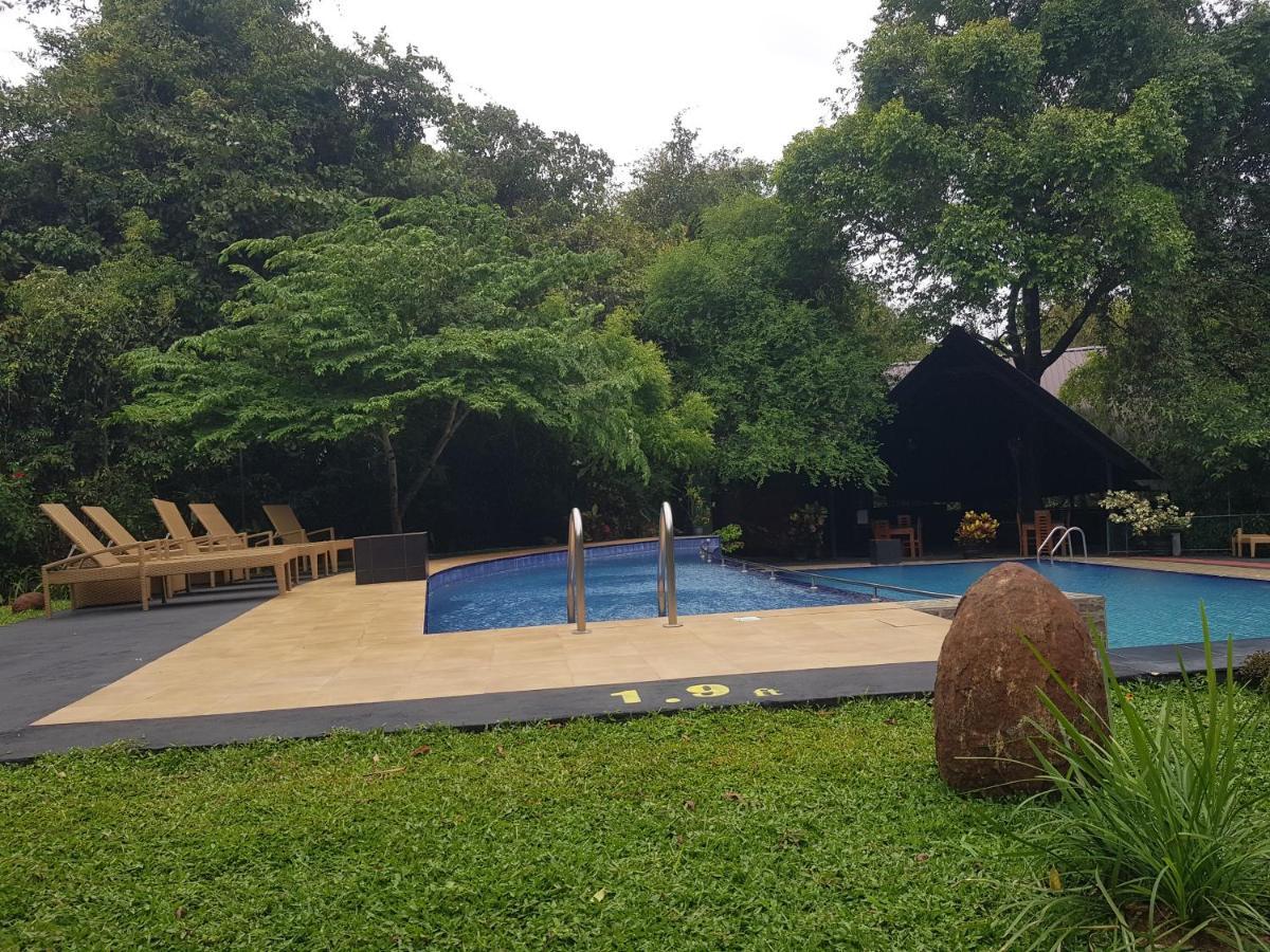 Nice Place Resort Dambulla Eksteriør bilde