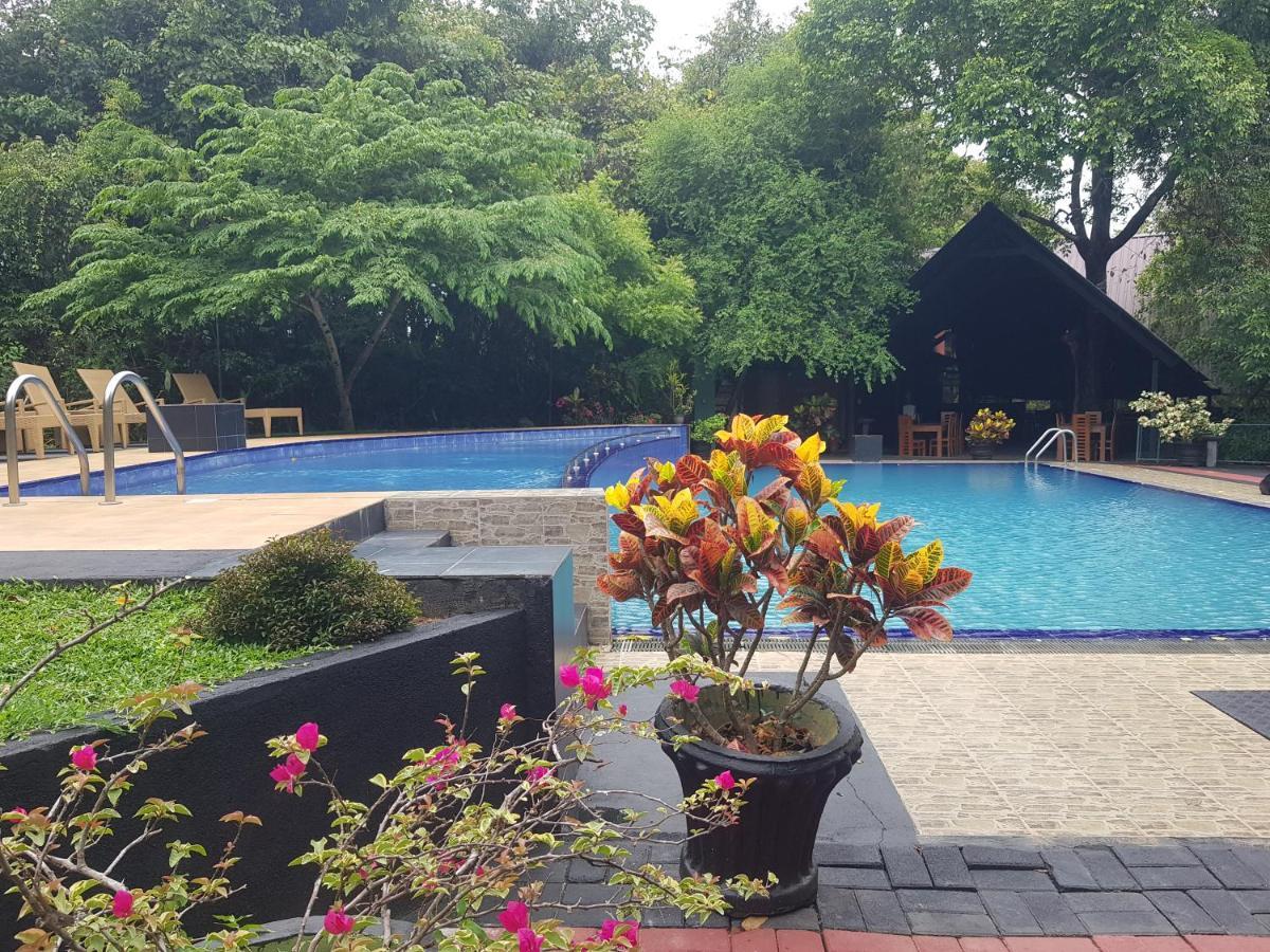 Nice Place Resort Dambulla Eksteriør bilde