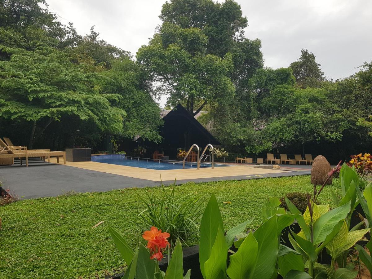 Nice Place Resort Dambulla Eksteriør bilde